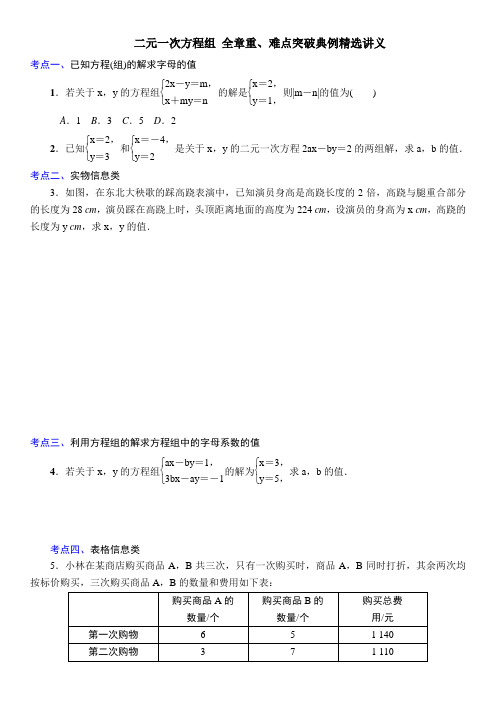 二元一次方程组 全章重、难点突破典例精选讲义(含答案)