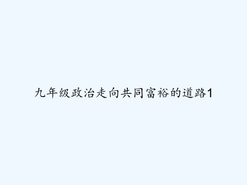 九年级政治走向共同富裕的道路1 PPT