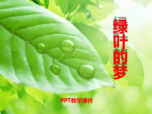 语文四上《绿叶的梦》(1)PPT课件