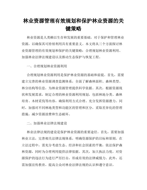 林业资源管理有效规划和保护林业资源的关键策略