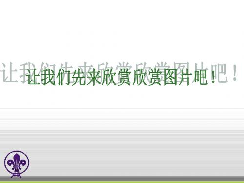 威尼斯的小艇优秀公开课PPT52张。[精编文档]