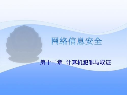 第12章计算机犯罪与取证