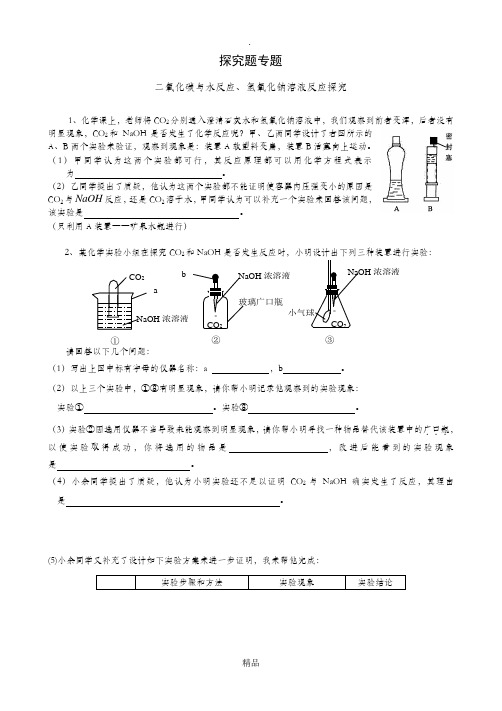 化学专题练习 二氧化碳与水、氢氧化钠反应