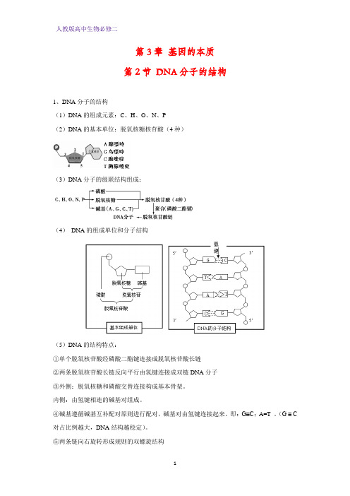 高中生物必修2学案5：3.2DNA分子的结构
