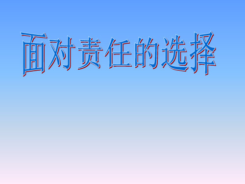 责任你我他PPT课件