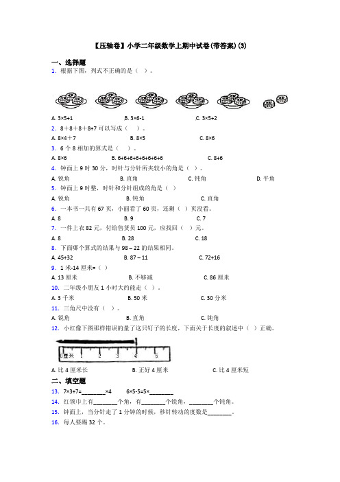【压轴卷】小学二年级数学上期中试卷(带答案)(3)