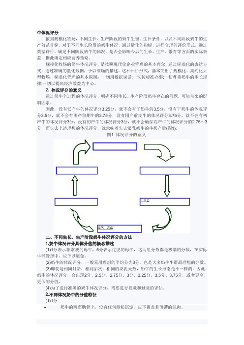 体况评分
