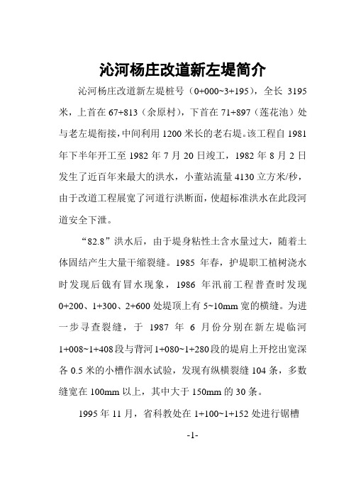 沁河杨庄改道新左堤简介