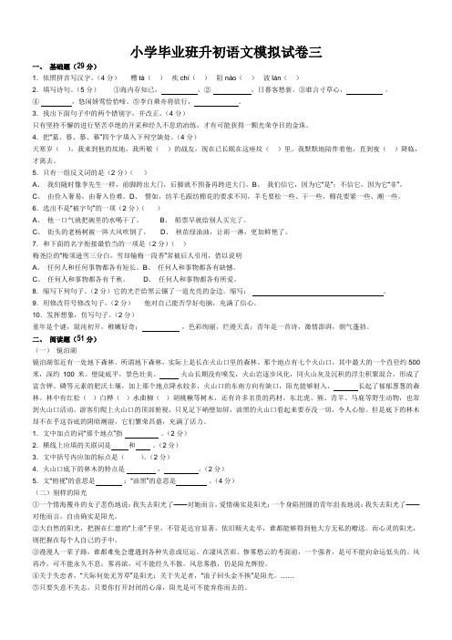 小学毕业班升初语文模拟试卷三