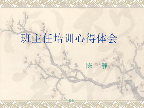 复习梅洪建班主任心得体会.ppt