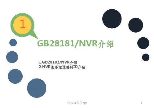 GB T28181规范调研报告ppt课件