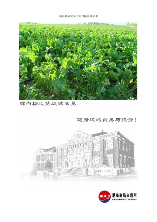 绵白糖品种手册