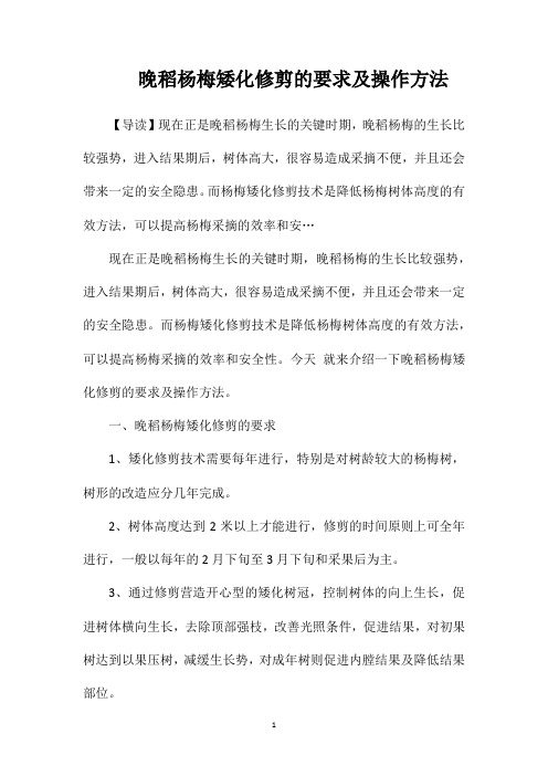 晚稻杨梅矮化修剪的要求及操作方法