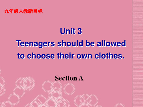 黑龙江省绥化市第九中学九年级英语全册 Unit 3 Teenagers should be allo