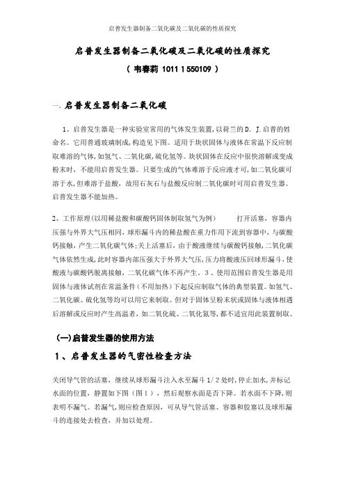 启普发生器制备二氧化碳及二氧化碳的性质探究
