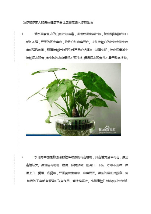 为你和你家人的身体健康不要让这些花进入你的生活