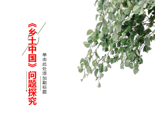《乡土中国》问题探究--优秀