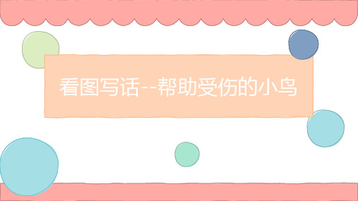 看图写话受伤的小鸟二年级