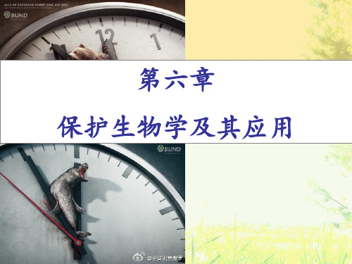 生物多样性及其保护生物学——第六章