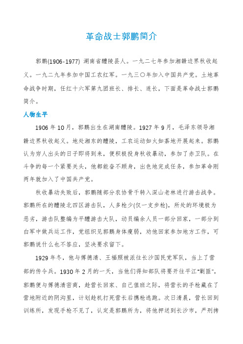革命战士郭鹏简介