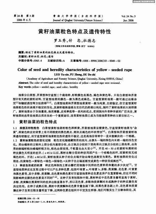 黄籽油菜粒色特点及遗传特性