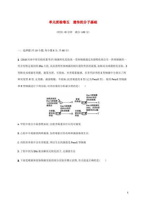 2021版高考生物一轮复习单元质检卷五遗传的分子基础(含解析)新人教版