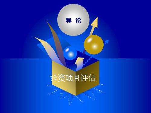 最新投资项目评估-PPT演示文稿