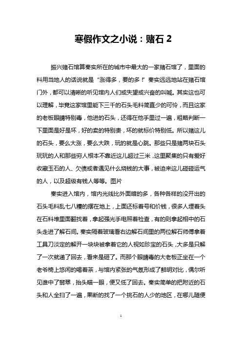 寒假作文之小说：赌石2