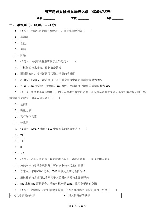 葫芦岛市兴城市九年级化学二模考试试卷