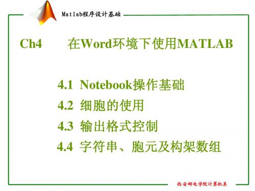 MATLAB语言基础  ch4在Word环境下使用MATLAB