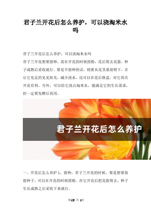君子兰开花后怎么养护，可以浇淘米水吗_1