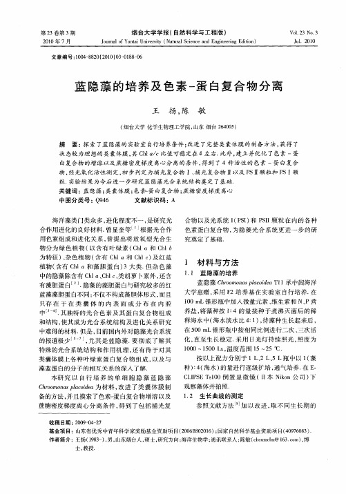蓝隐藻的培养及色素-蛋白复合物分离