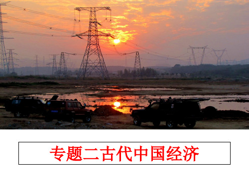 最新专题二古代中国经济