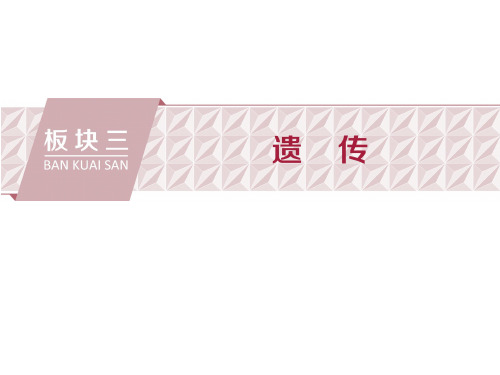 2018届 二轮 遗传的分子基础 课件(全国通用)