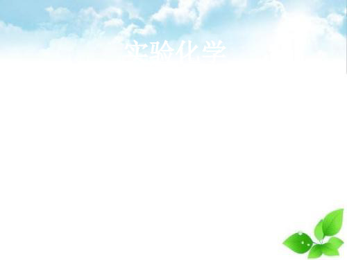 化学反应条件的控制PPT课件(上课用)1