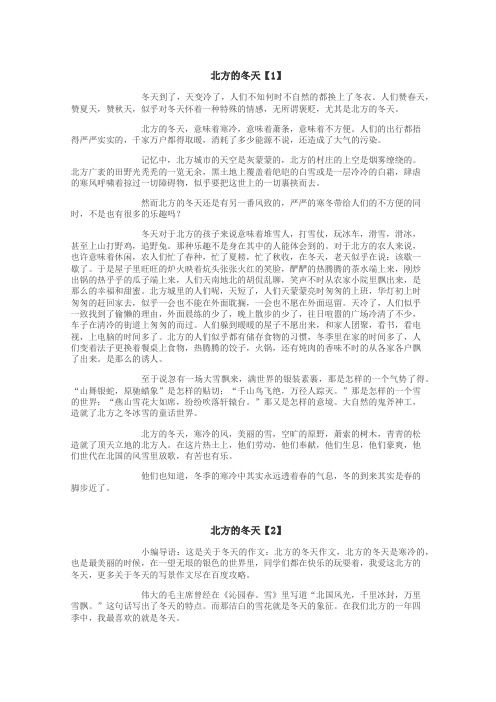 北方的冬天作文

