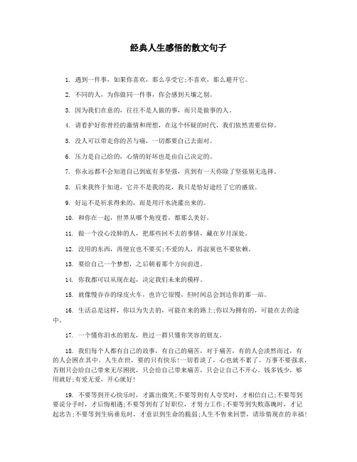 经典人生感悟的散文句子