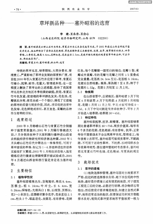 草坪新品种——塞外昭君的选育