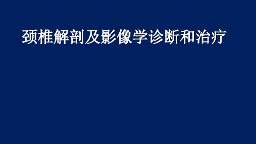 颈椎的解剖及影像学诊断