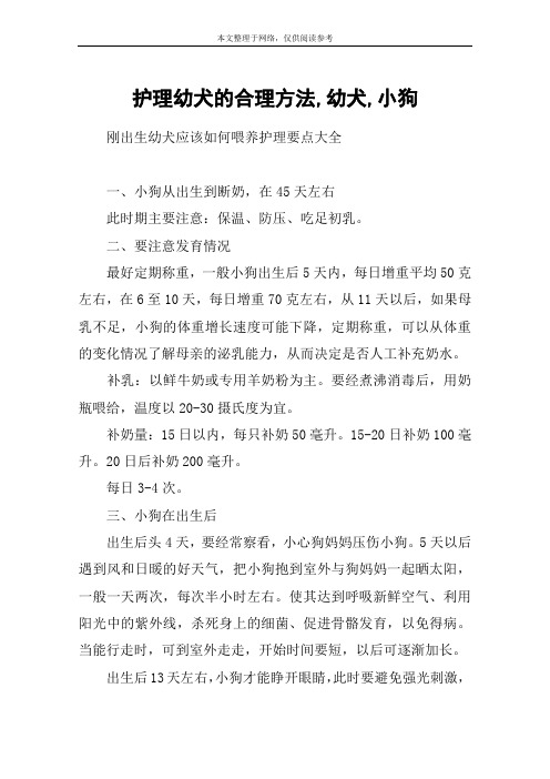 护理幼犬的合理方法,幼犬,小狗