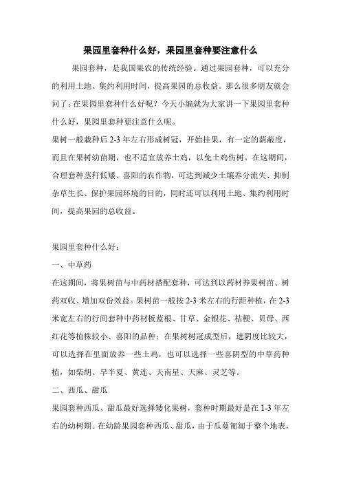 果园里套种什么好,果园里套种要注意什么.doc
