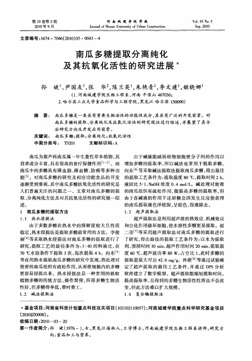 南瓜多糖提取分离纯化及其抗氧化活性的研究进展