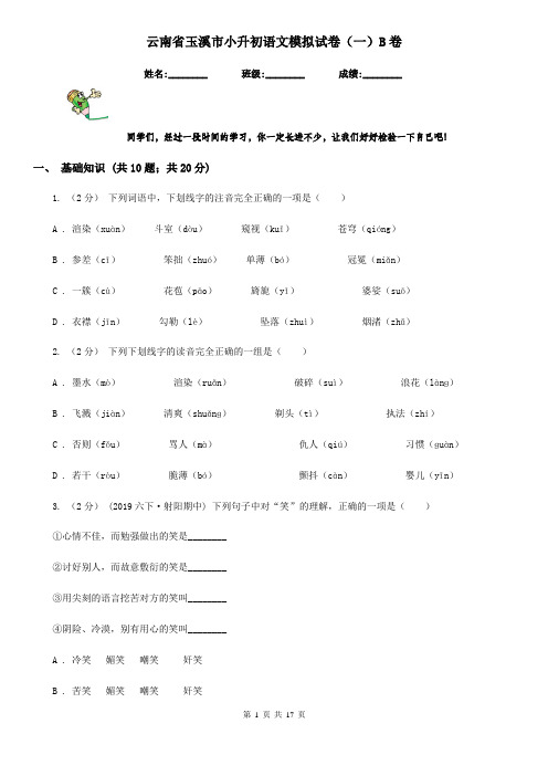 云南省玉溪市小升初语文模拟试卷(一)B卷