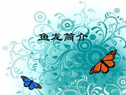 鱼龙简介