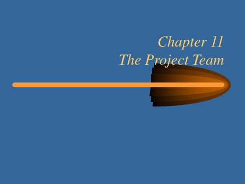 项目管理 第十一章 项目团队 The Project Team