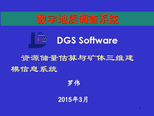 DGSS讲解课件