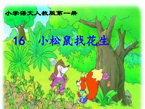 小松鼠找花生