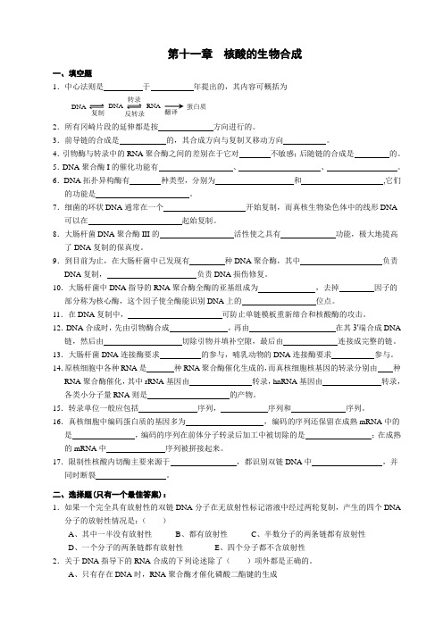 生物化学 第11章 核酸的生物合成