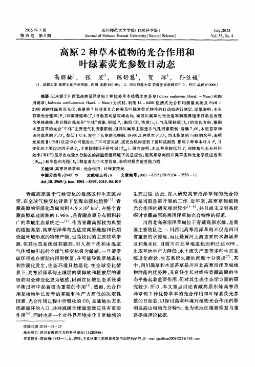 高原2种草本植物的光合作用和叶绿素荧光参数日动态