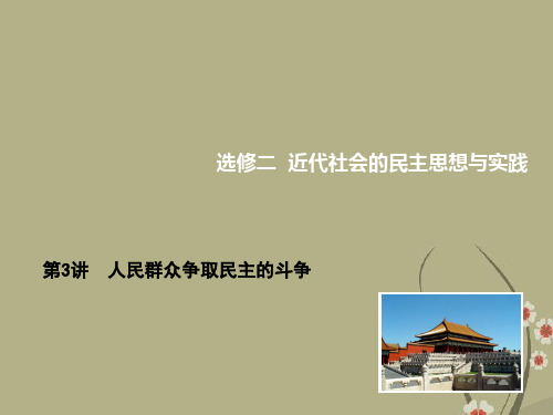 【高考导航】高考历史总复习 第3讲 人民群众争取民主的斗争课件 人民版选修2